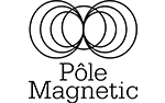 Pole Magnetic